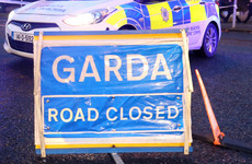 Man dies after being struck by car in Longford