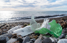 The government is declaring war in 2019 (on single-use plastics)