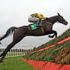 Al Boum Photo leads home Mullins 1-2-3 in classy Savills Chase