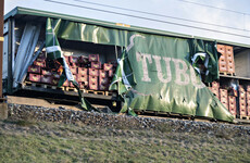 'Windows broke and shards of glass flew over us': Six killed after cargo debris hits train on Danish bridge