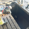 Firefighters rescue cattle from slurry tank on Tyrone farm