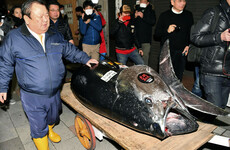 Japan's 'Tuna King' just paid €2.7 million for this whopper fish
