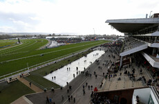 Cheltenham favourite sidelined for rest of season with hairline leg fracture