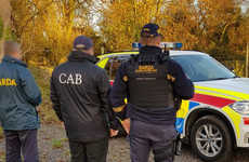 Gardaí seize cash and Viagra pills in raids targeting organised crime gang in border region