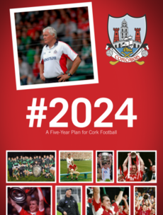 Cork legends recommend key new roles and club changes in five-year football plan