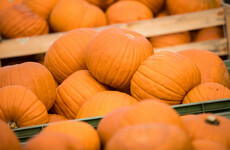 A major new Halloween festival is tipped to be bigger than New Year's Eve