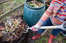 From the Garden: How to make your own compost - you can learn from my mistakes
