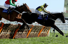 2017 Cheltenham Festival winner put down after surgery