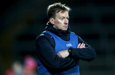 Limerick appoint club senior winning boss as county's new U20 hurling manager