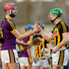 Paudie Foley stars with 0-7 as Wexford see off Kilkenny to book Walsh Cup final spot
