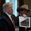 'The wall won't get built': Republicans warn Donald Trump against state of emergency over border wall