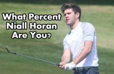 What Percent Niall Horan Are You?