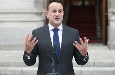 Varadkar says bumper day of elections and referendums will be among 'busiest days in Irish politics'