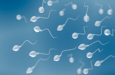 Man receives hospital treatment after injecting himself with his own semen