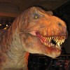 Man, 23, legally changes name to Tyrannosaurus Rex