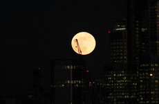 Everything you need to know about viewing the 'super wolf blood moon' overnight