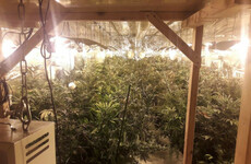 Man (40s) arrested at 450-plant growhouse in Waterford business park