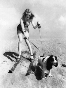 9 out of 10 classic celebrities prefer dogs...