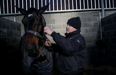 5 horses that could light up the Dublin Racing Festival next week