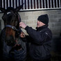 5 horses that could light up the Dublin Racing Festival next week