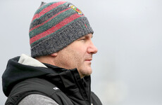 James Horan will have 'whole armoury' of tactics and ideas from TV punditry work - Connell