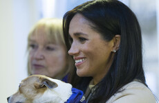 The Daily Mail blamed Meghan Markle for 'droughts, murder and human rights abuses' ...it's The Dredge