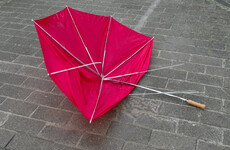 Wind warning issued for 13 counties