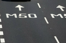 'The loss of a loved one is traumatic enough without this': People asked to report photos of fatal M50 crash
