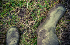 Judge relocates court sitting to mucky field for farmers' dispute over a wall