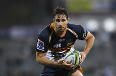 Ulster set to pounce for Wallabies and Brumbies lock Sam Carter