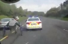 "Don't do it again" - Warning for travellers after horse race on Cork road