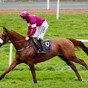 Take Tombstone to upset hot favourite at Naas