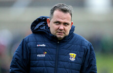 New job for Davy Fitz as Wexford manager takes coaching role with 2017 Clare champions
