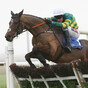 Espoir D'Allen moves into Cheltenham Champion Hurdle contention with impressive Naas showing