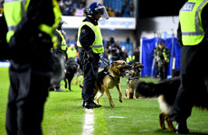 'Some of the most shocking violence we have seen': Police condemn clashes between Millwall and Everton fans
