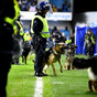 'Some of the most shocking violence we have seen': Police condemn clashes between Millwall and Everton fans