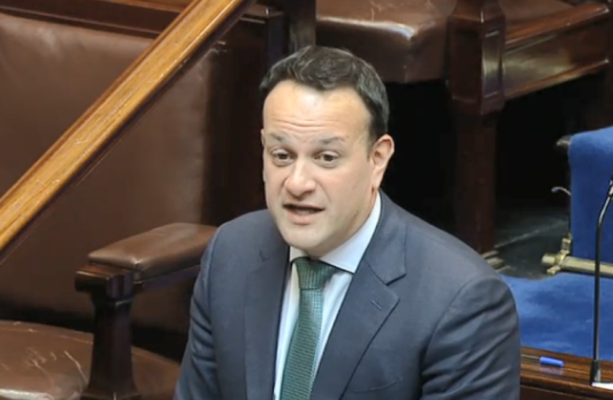 'You ought to intervene directly': Opposition calls on Varadkar to step ...