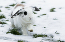 National weather warning kicks in, with snow, ice and sleet expected
