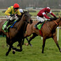 2017 Gold Cup winner to miss Leopardstown this weekend due to the ground