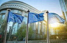 Two elected Ireland MEPs may have to wait until Brexit actually happens before taking up their seats