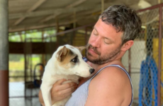 A timeline of everything Will Young has been up to from his Pop Idol days to calling out homophobia on Twitter in 2019
