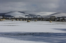 Rain, sleet and snow expected today as status yellow weather warning continues