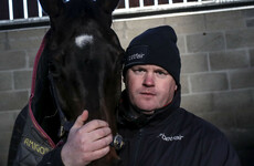 Apple's Jade the star attraction as the Dublin Racing Festival kicks off