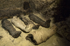 Researchers discover 40 mummies at ancient Egyptian burial site