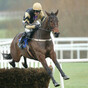 Expect to see a completely different Bellshill as Gold Cup the feature at Leopardstown