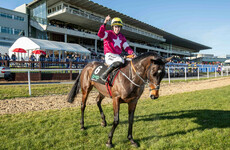 Apple's Jade clash at Cheltenham with Buveur D'Air is now on