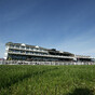 Thursday's horse racing meetings in Britain cancelled following equine flu outbreak
