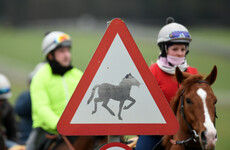 Quick action and 'war-room of vets' can restrict equine flu effects, racing chief insists