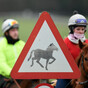 Quick action and 'war-room of vets' can restrict equine flu effects, racing chief insists