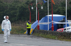 Leader of so-called New IRA in Dublin given life sentence for murder of dissident republican